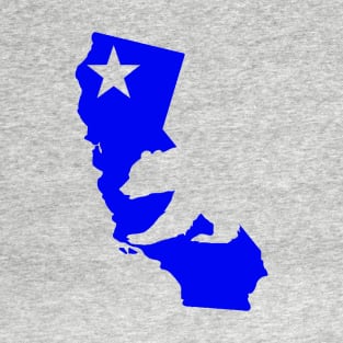 California State T-Shirt